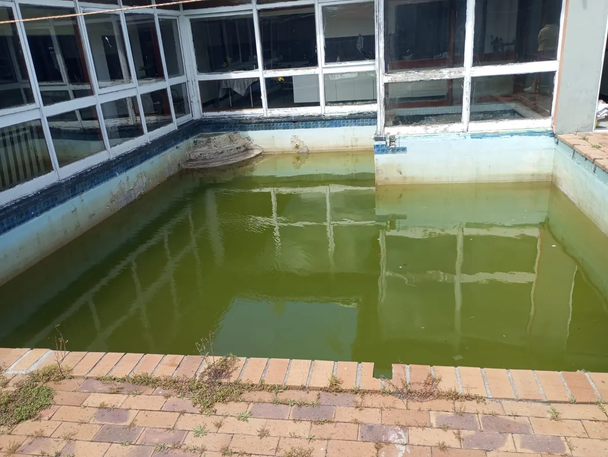 An indoor pool with green, murky water and stained walls, before cleaning